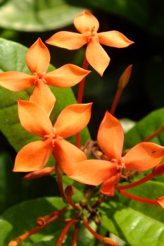 dscf7413